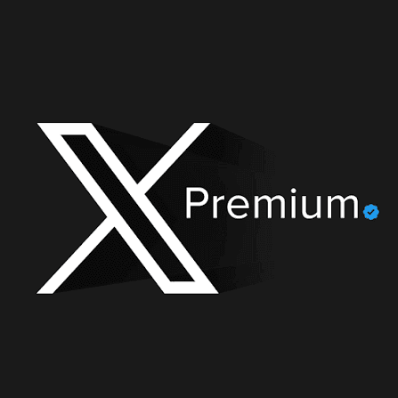 X Premium+ 代开通(年费)